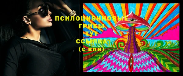 СК Володарск